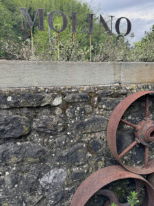 olive press
