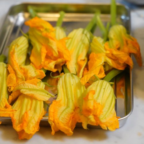 zucchini blossoms